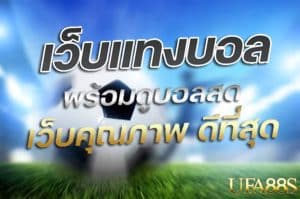 แทงบอลออนไลน์ 911